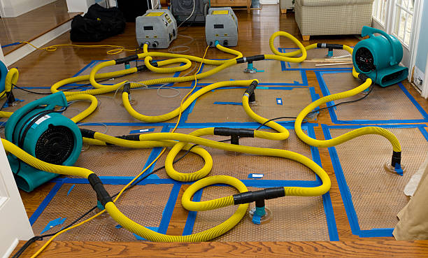 Professional Structural Drying And Dehumidification technician working in Limaville, OH